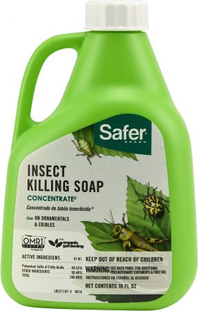 Safer Brand Insect Killing Soap